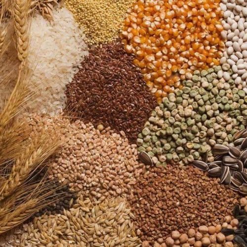 Porduct Category Oilseeds & Nuts