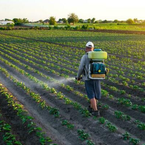 Porduct Category Pesticides