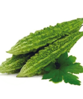 Organic Green Bitter Gourd Seeds