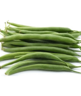 Beans Seeds